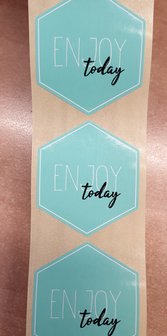 Sticker - enjoy today - mint met wit en zwarte opdruk - (5 stuks)